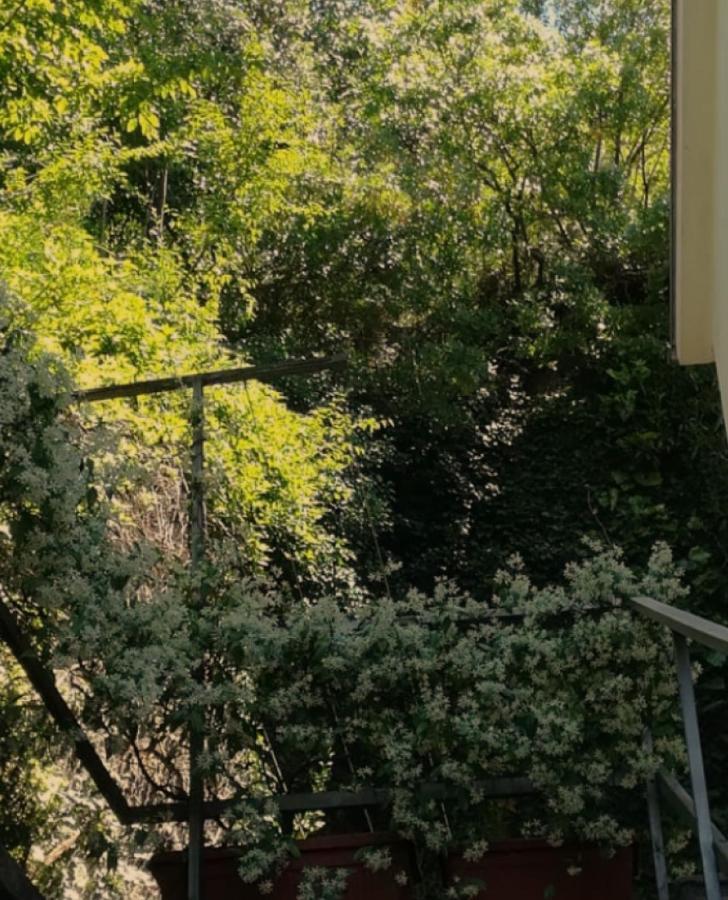 Kotor Apartman Crikvenica Kültér fotó